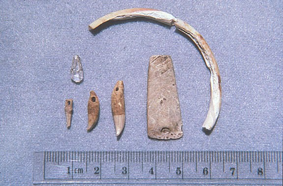 Artifacts recovered from the Dapahu excavations, Nan Madol: shell ring, trapezoidal pearl shell pendant, drilled porpoise and fruit bat teeth, and quartz crystal.