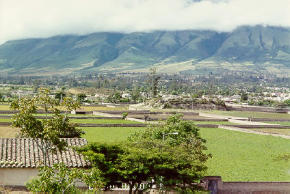 Same Atuntaqui platform mound in Photo 6 (Mound 25), but view of backside of mound (to east); note Paila Tola (a ramp mound) to center left. Orozca Tola can be distinguished over top of mound.