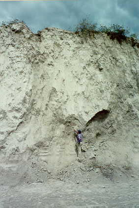Archaeologist is pointing to floor surface in Atuntaqui Mound 30 with plentiful charcoal and diagnostic Late Period sherd.