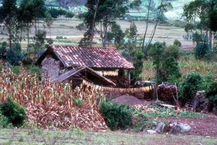 Traditional-style indigenous house with tapia wall construction and tile roof, located Agato Alto (northeast of Otavalo). Note drying corn.