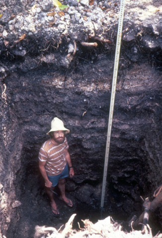 Excavation of mounded residue from the ceremonial cooking of turtle on Idehd islet for feeding the sacred eel. David Welch, in photograph, was the excavator.
