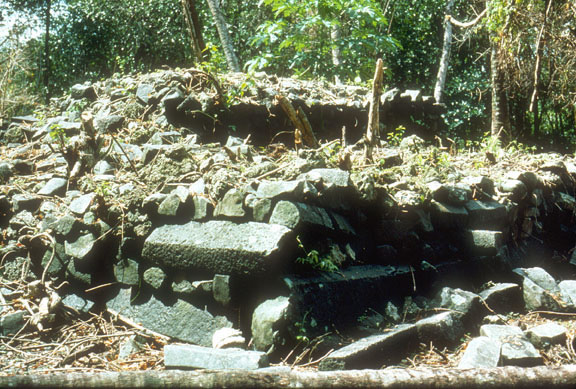 A two-tiered nahs structure at Us en Namw islet. The nahs is essentially a feasthouse, important for ceremonial food distribution and kava (sakau) drinking rituals. This form of structure did not develop until after the demise of the Saudeleur.