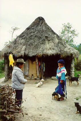 Traditional-style indigenous house in Otavalo area. Grass roofed houses with bajareque construction are now un-common in the region, though in earlier times they would have been the norm.