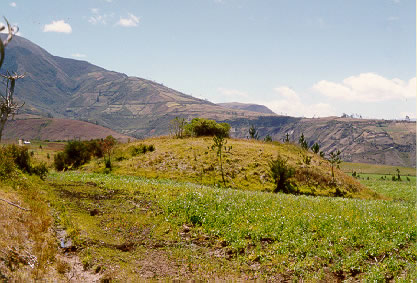 Platform mound, Morascunga (northwest of Imantag).