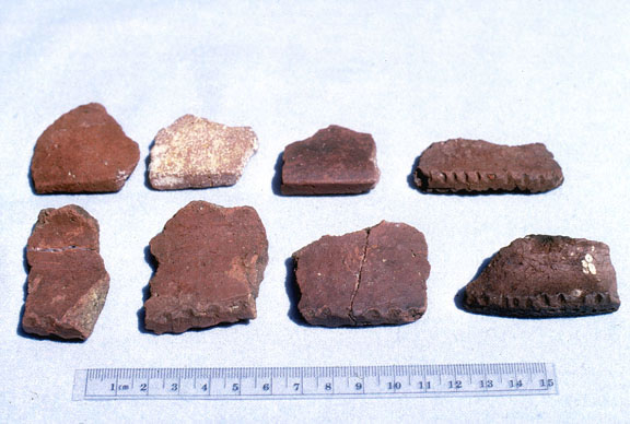 Pottery sherds from Nan Madol. Note rim “notching” decoration. Sherd in upper row, second from left, has abundant calcareous temper.