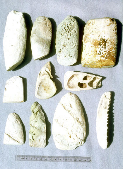 Shell adzes from Nan Madol, various types.
