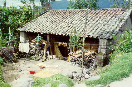 Traditional-style indigenous house with tapia wall construction and tile roof, located near Lake San Pablo. Note beans drying in sun on totora mat, maize drying under eave, squash, and stored totora reeds.