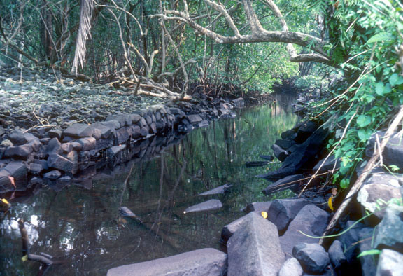One of the waterways through Nan Madol. The islet of Dapahu is on the left.